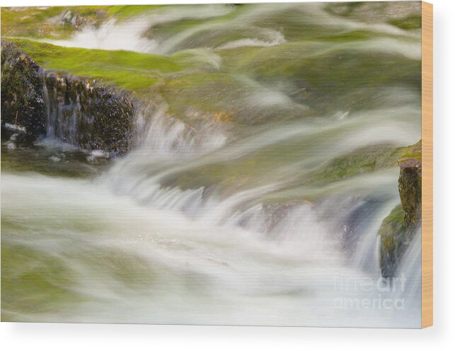 Acadia National Park Wood Print featuring the photograph More Than a Trickle by Tamara Becker