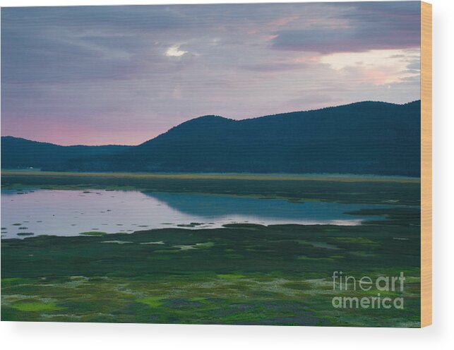 Landscape Wood Print featuring the photograph Mormon Lake Sunset by Tamara Becker