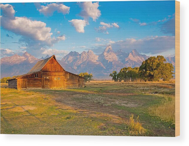 Wild Wood Print featuring the photograph Mormon Row and the Grand Teton by Nicholas Blackwell