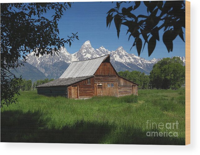 Frame Wood Print featuring the photograph Mormon Row Barn by Bill Singleton