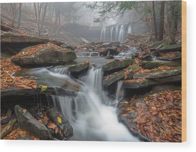 Landscape Wood Print featuring the photograph Morning Fog by Nick Kalathas