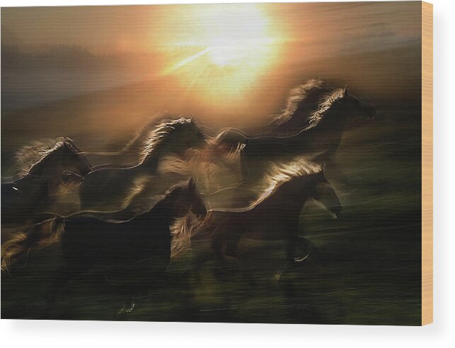 Icm Wood Print featuring the photograph Morning Gallop by Milan Malovrh