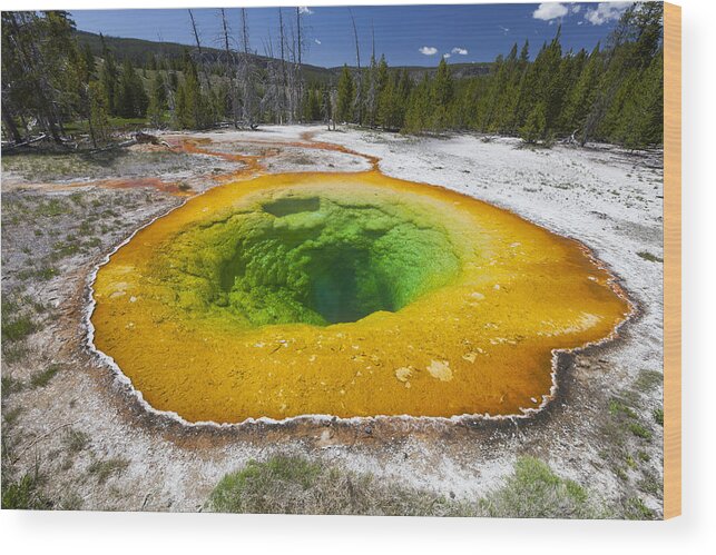 530442 Wood Print featuring the photograph Morning Glory Pool Yellowstone Wyoming by Duncan Usher