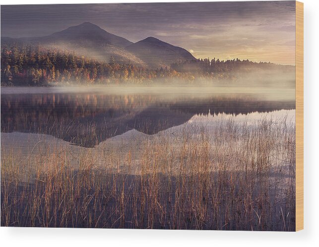 Adirondack Wood Print featuring the photograph Morning in Adirondacks by Magda Bognar