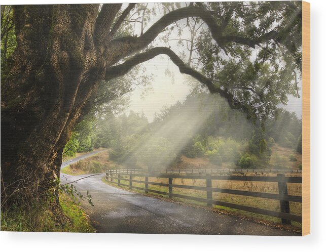 Clouds Wood Print featuring the photograph Morning Light by Debra and Dave Vanderlaan