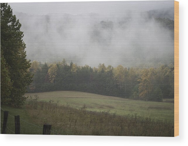 Karen Stephenson Wood Print featuring the photograph Morning Light with Fog at Cade's Cove by Karen Stephenson