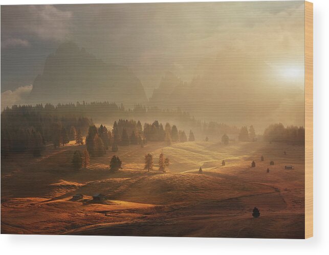 Italy Wood Print featuring the photograph Morning On Alpine Meadow by Daniel ?e?icha