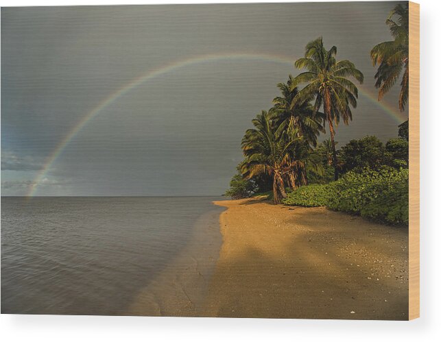 Rainbow Wood Print featuring the photograph Morning on Molokai by Alan Kepler