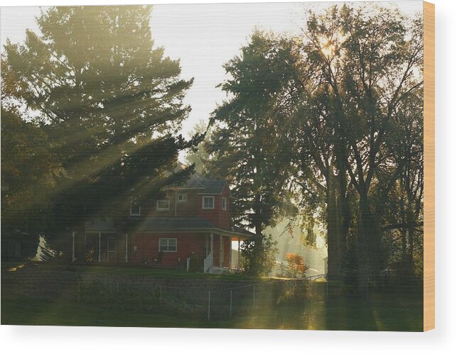 Morning Wood Print featuring the photograph Morning rays by Lynn Hopwood