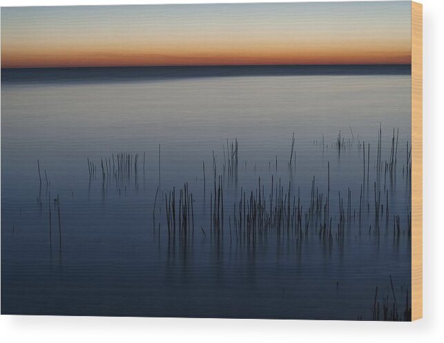 Dawn Wood Print featuring the photograph Morning by Scott Norris