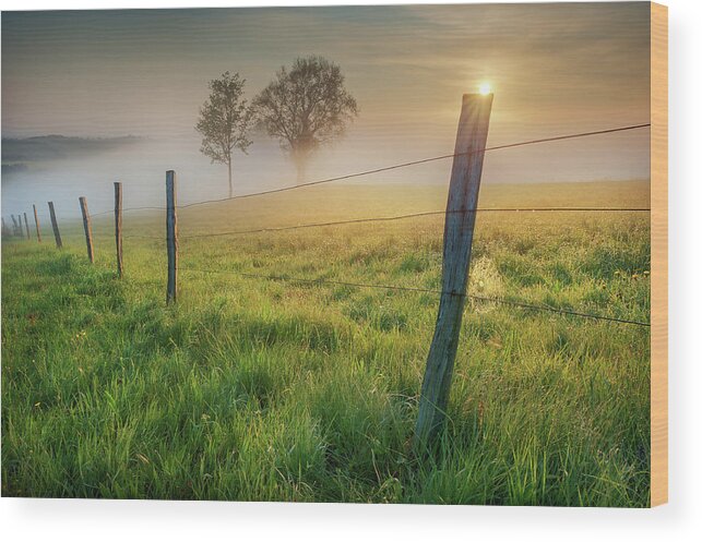 Morning Wood Print featuring the photograph Morning Sun by Burger Jochen