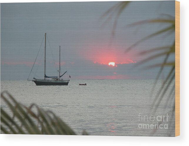 Sailboat Wood Print featuring the photograph Morning Sun by Jim Goodman