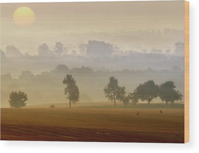 Landscape Wood Print featuring the photograph Morning View by Piotr Krol (bax)