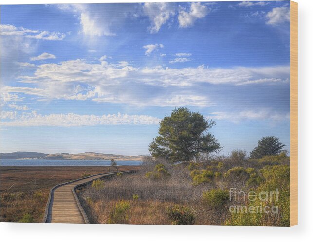 Landscape Scenes Wood Print featuring the photograph Morro Bay Boardwalk by Mathias 