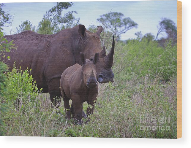 Rhino Wood Print featuring the photograph Mother and Baby Rhino by Jennifer Ludlum