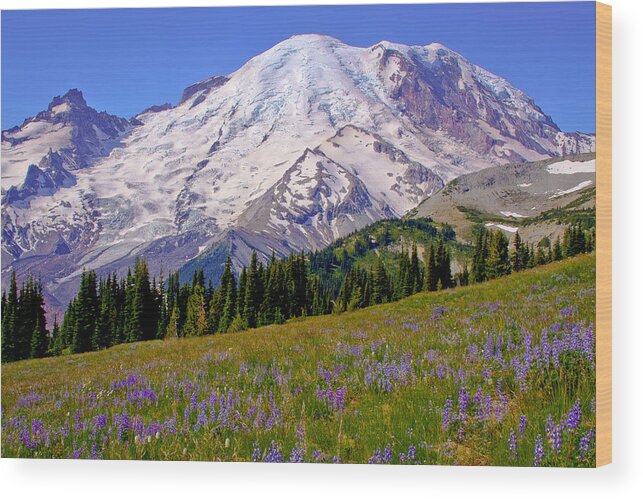 Mount Rainier Wood Print featuring the photograph Mount Rainier VI by David Patterson