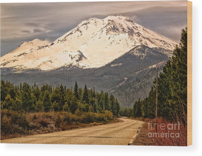 Mount Shasta Wood Print featuring the photograph Mount Shasta by Paul Gillham