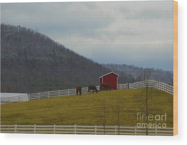 Mountains Wood Print featuring the photograph Mountain Farm by Tracy Rice Frame Of Mind