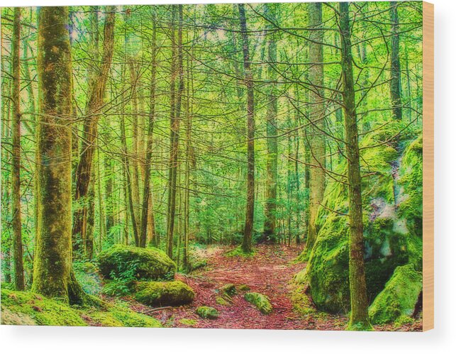 Mountain Green Wood Print featuring the photograph Mountain - Trail - Landscape - Mountain Green by Barry Jones