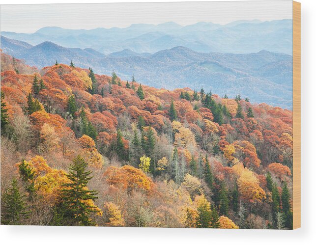 Blue Ridge Parkway Wood Print featuring the photograph Mountain Layers by Scott Moore