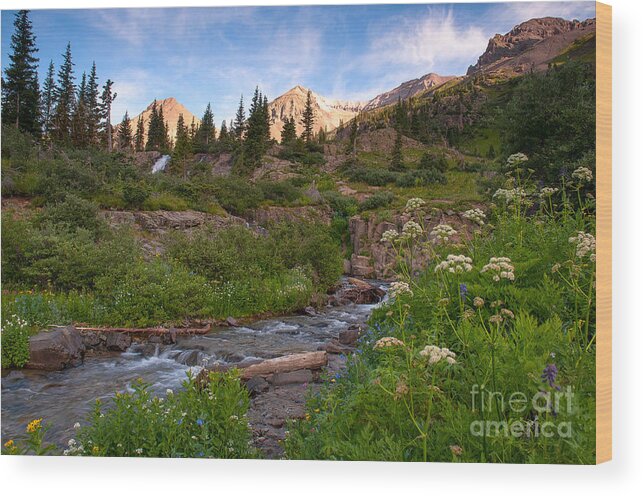 Stream Wood Print featuring the photograph Mountain Stream by Steve Stuller