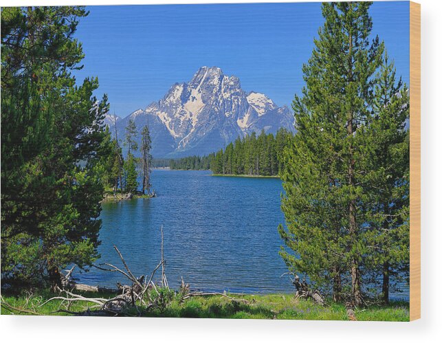 Grand Teton National Park Wood Print featuring the photograph Mt Moran at Half Moon Bay by Greg Norrell