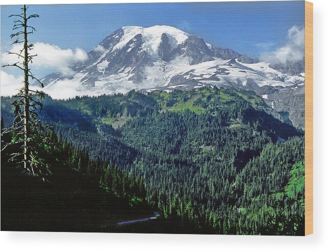 Mount Ranier National Park Wood Print featuring the photograph Mt. Ranier by Mike Flynn