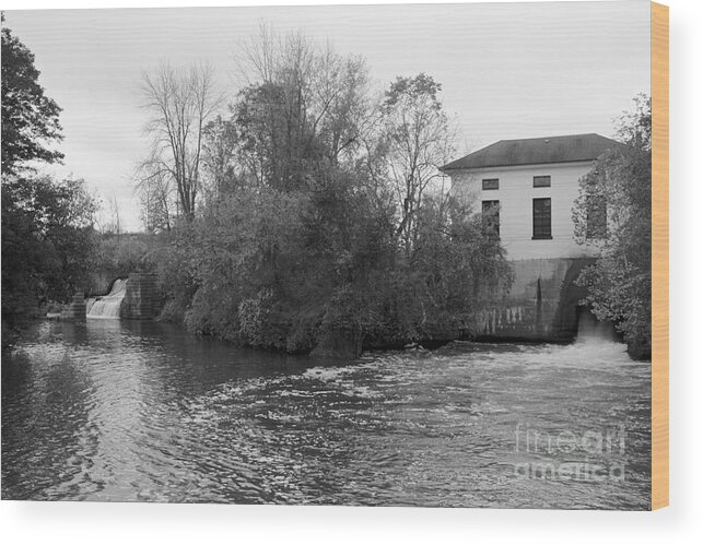 Mud Creek Wood Print featuring the photograph Mud Creek by William Norton