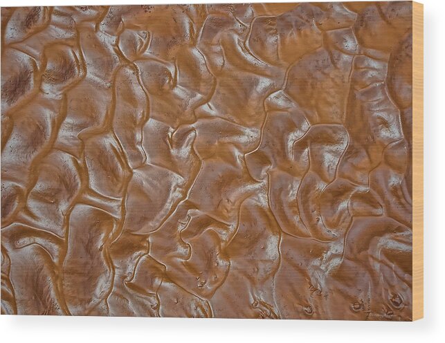 Abstract Wood Print featuring the photograph Mud Waves by Britt Runyon