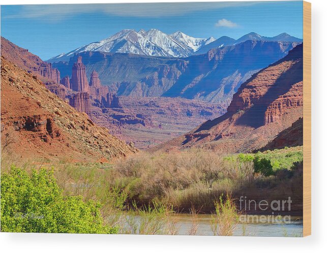 Colorado River Wood Print featuring the photograph Multi color view by Sue Karski