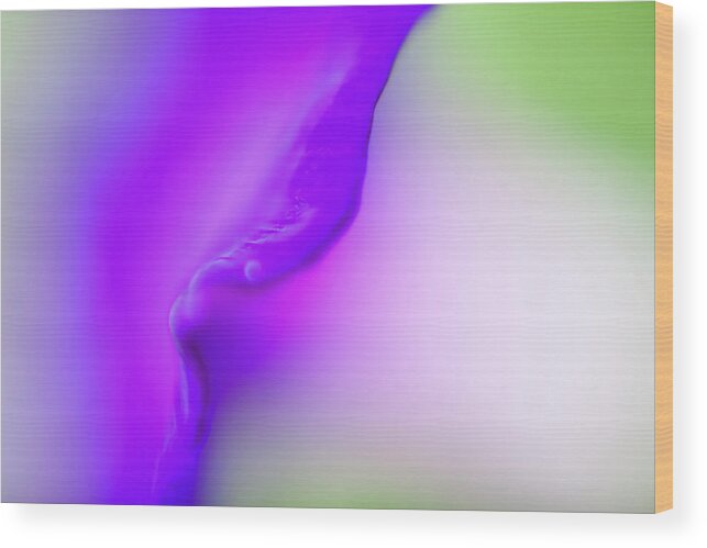 Curve Wood Print featuring the digital art Multicolored Abstract Light by Ralf Hiemisch