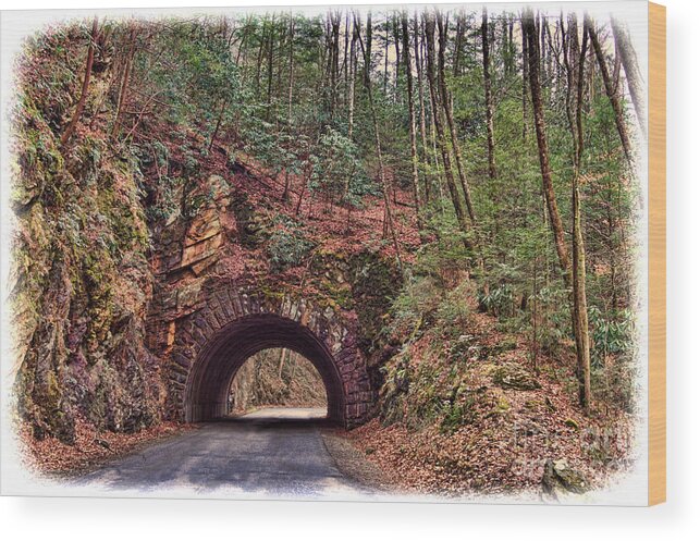 Road Wood Print featuring the photograph My Mountain Tunnel by M Three Photos