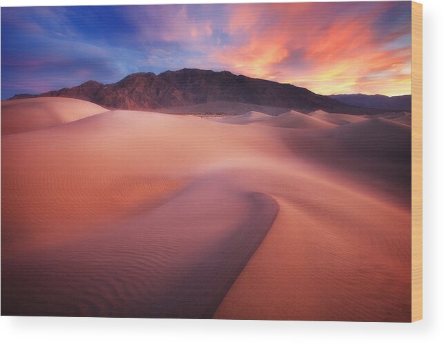 Landscape Wood Print featuring the photograph Mysterious Mesquite by Darren White