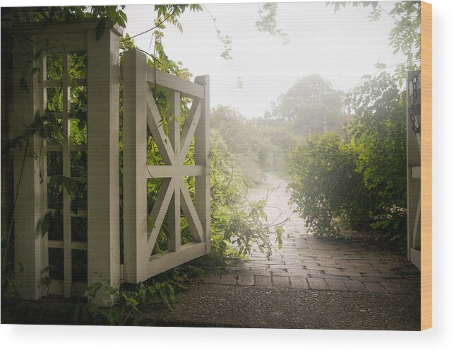 Garden Wood Print featuring the photograph Mystic garden - A wonderful and magical place by Gary Heller