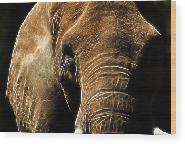 Asian Wood Print featuring the photograph Napping Asian Elephant Fractal by Kathy Clark