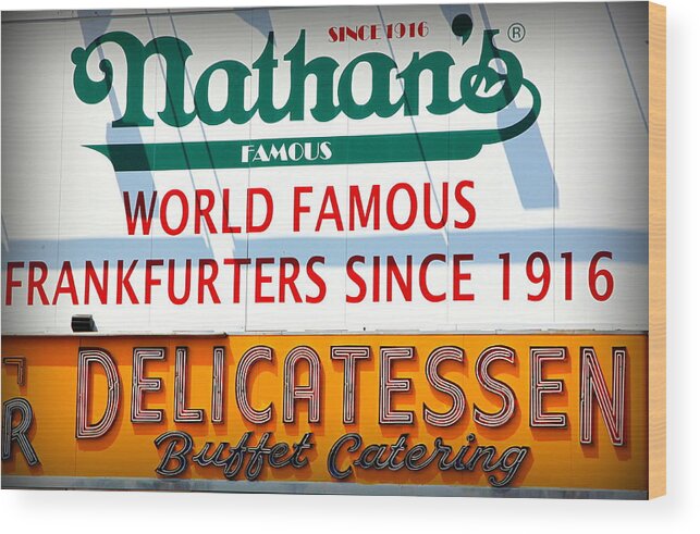 Dogs Wood Print featuring the photograph Nathan's Sign by Valentino Visentini