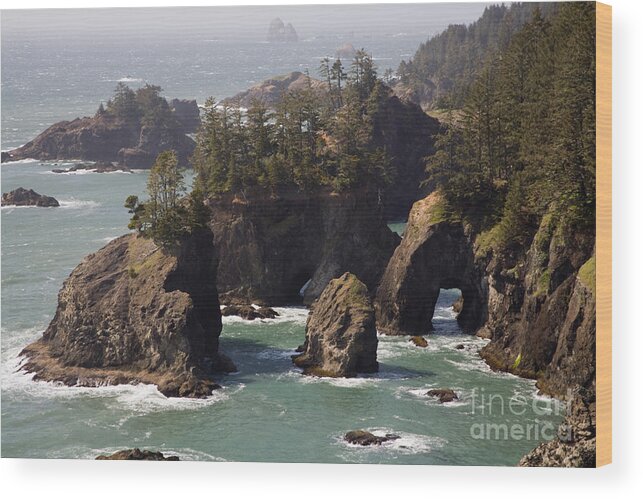 Oregon Landscape Wood Print featuring the photograph Natural Bridges Cove by Sean Bagshaw