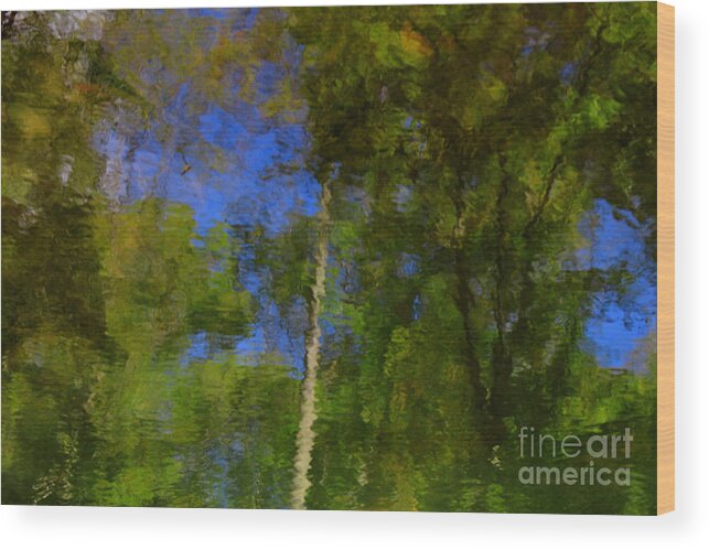 Nature Wood Print featuring the photograph Nature Reflecting by Melissa Petrey