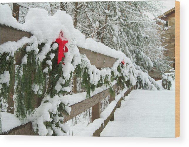 Christmas Wood Print featuring the photograph Nature's decorations by Michael McGowan