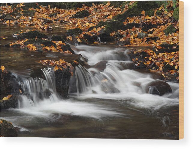 Vermont Wood Print featuring the photograph New England Fall Foliage and Waterfall Cascades by Juergen Roth
