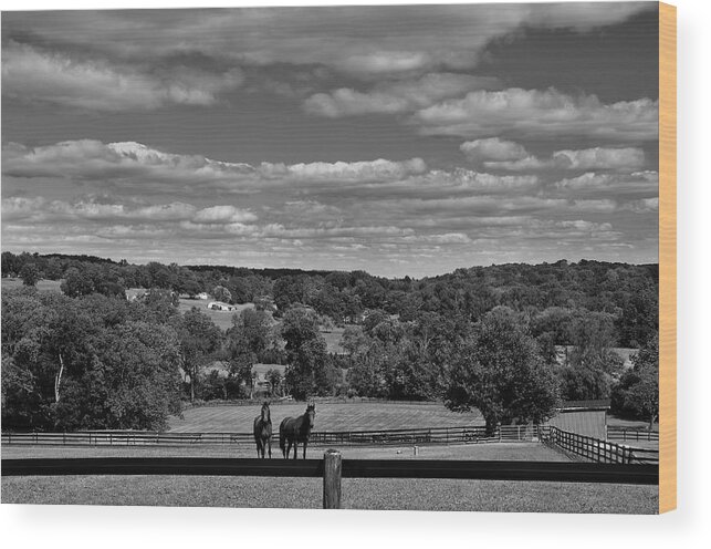 Hunterdon County Wood Print featuring the photograph New Jersey Landscape with Horses by Steven Richman