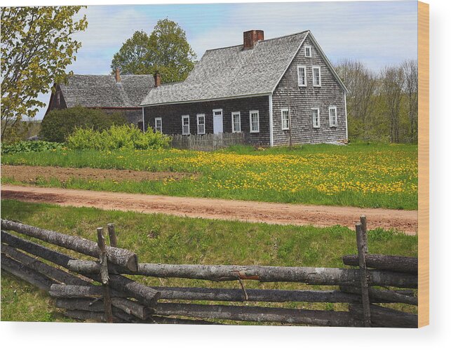 Canada Wood Print featuring the photograph New Ross Farm Museum by Gary Corbett
