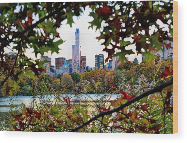 'central Park Wood Print featuring the photograph New York Wreath by Jeffrey Friedkin