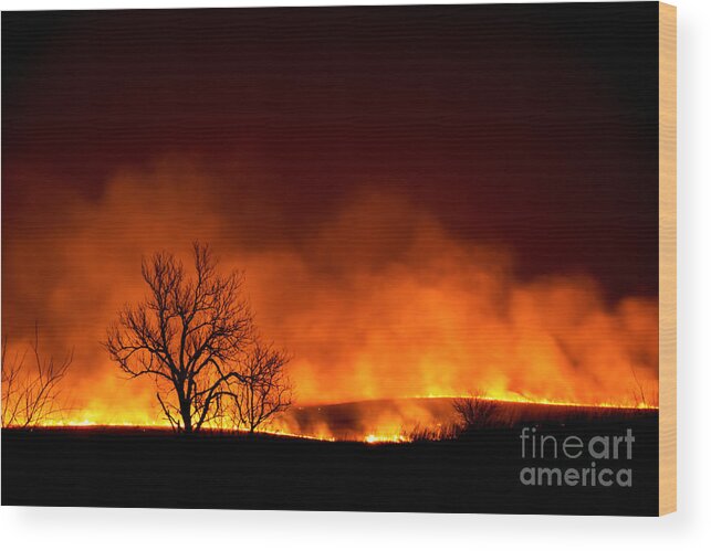 Flint Hills Wood Print featuring the photograph Night Burn by Jean Hutchison