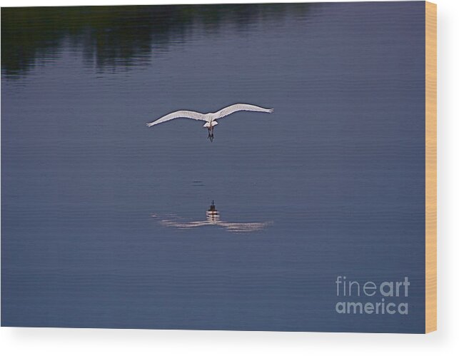 Birds In Flight Wood Print featuring the photograph Night Flight by George DeLisle