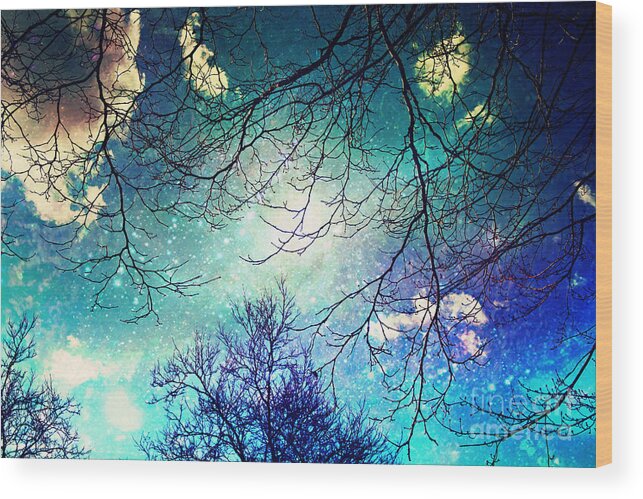 Night Wood Print featuring the photograph Night Sky by Sylvia Cook