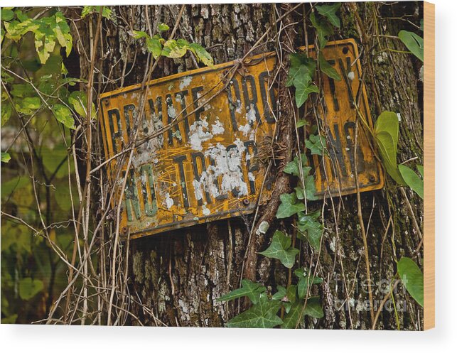 Sign Wood Print featuring the photograph NO by Kathi Shotwell