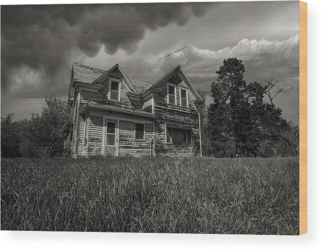 Oz Wood Print featuring the photograph No Place Like Home by Aaron J Groen