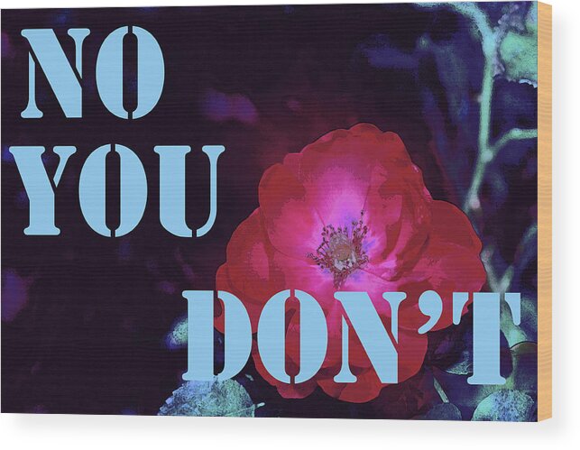 No You Don't Wood Print featuring the photograph No You Don't by Pamela Cooper