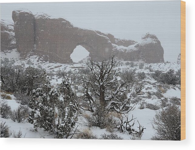 Arch Wood Print featuring the photograph North Arch in Arches National Park by Tranquil Light Photography